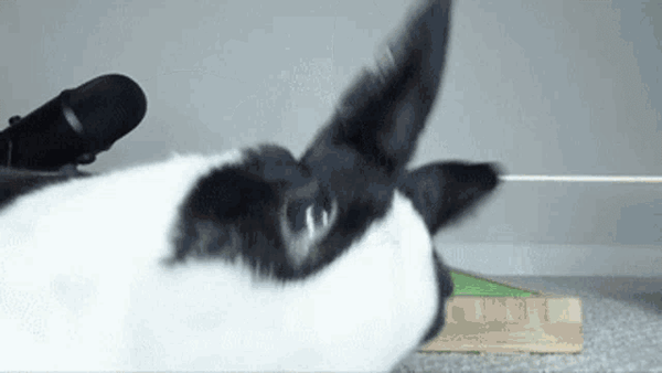 Thats a video of me bruh ong fr fr :3